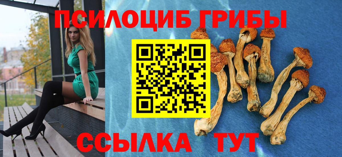 Галлюциногенные грибы Magic Shrooms Кемерово